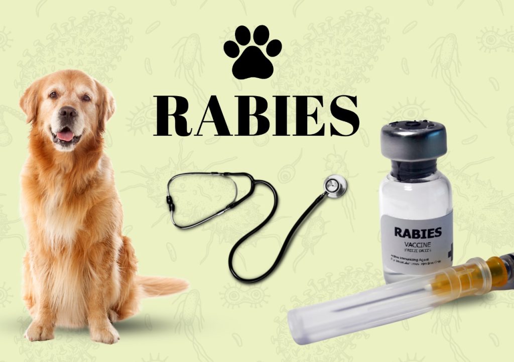 Rabies (1)
