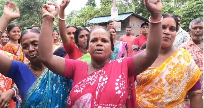 ডিম১